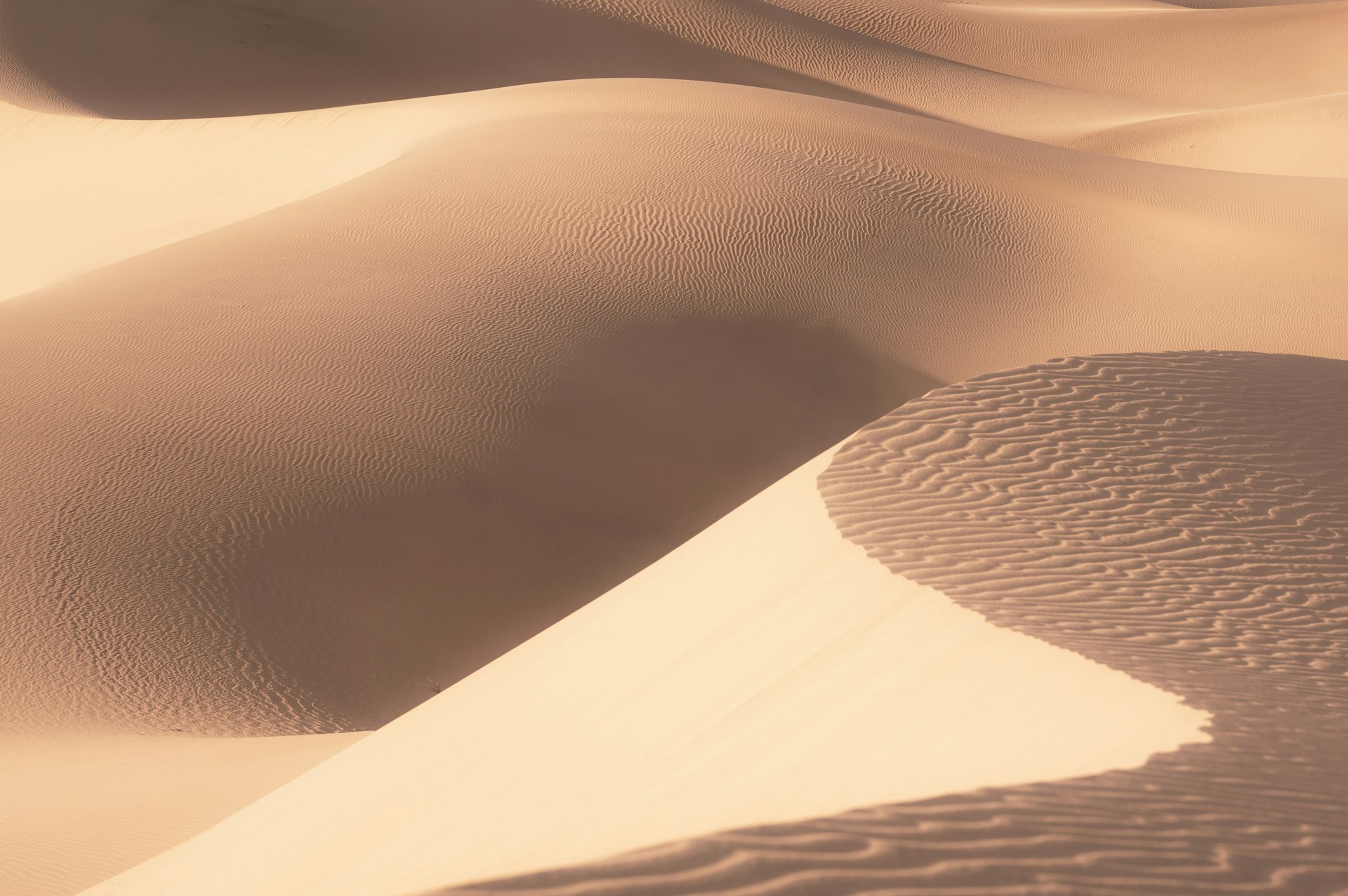 Abstract dune landscape with organic curves